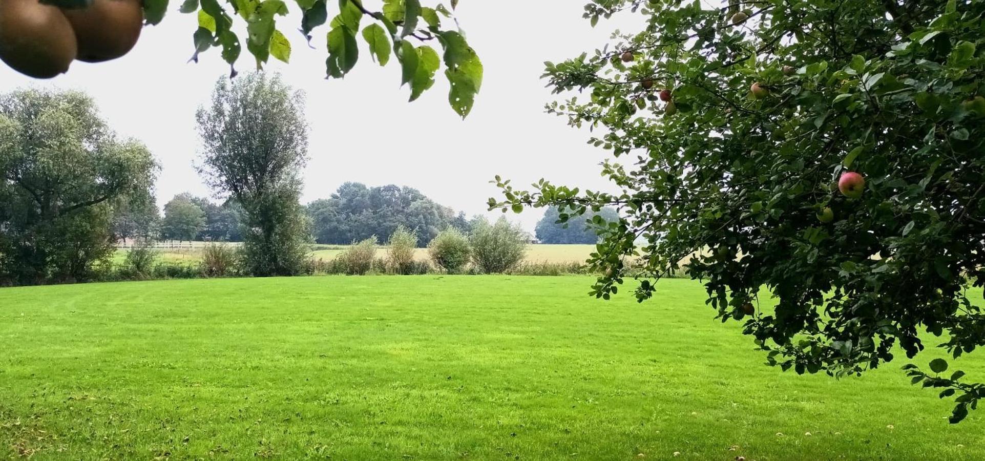 B&B Oldenbosch Holwierde Екстер'єр фото